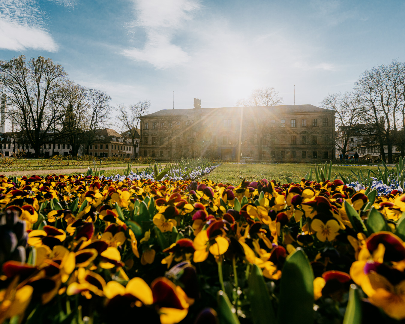 Schlosspark Erlangen Blumen