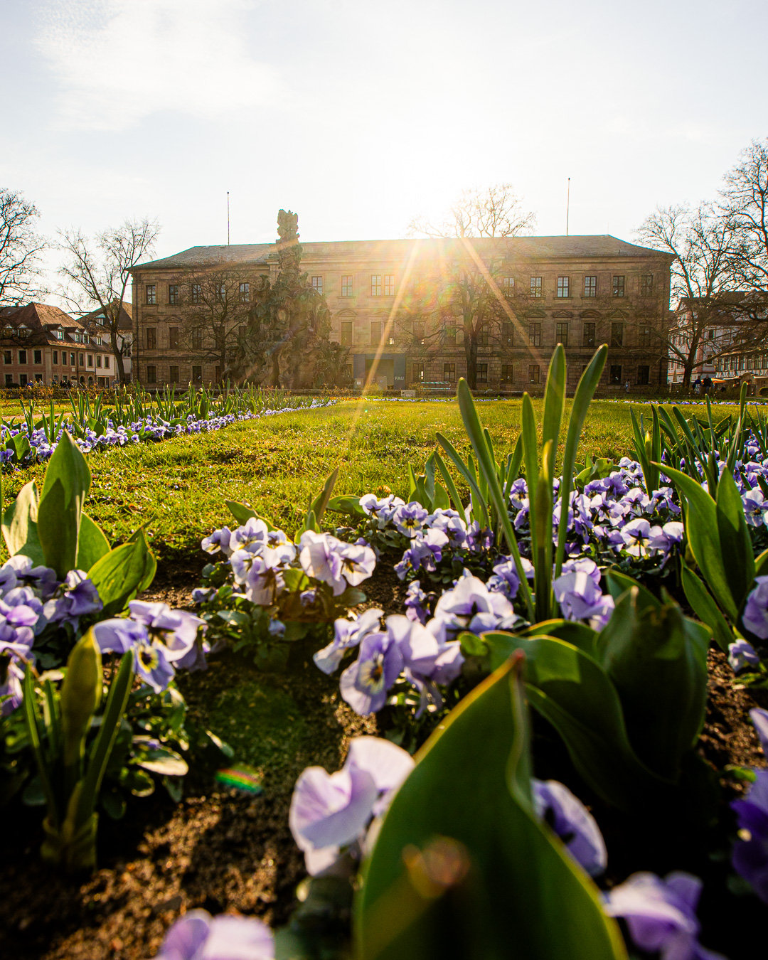 Schlosspark Erlangen Blumen