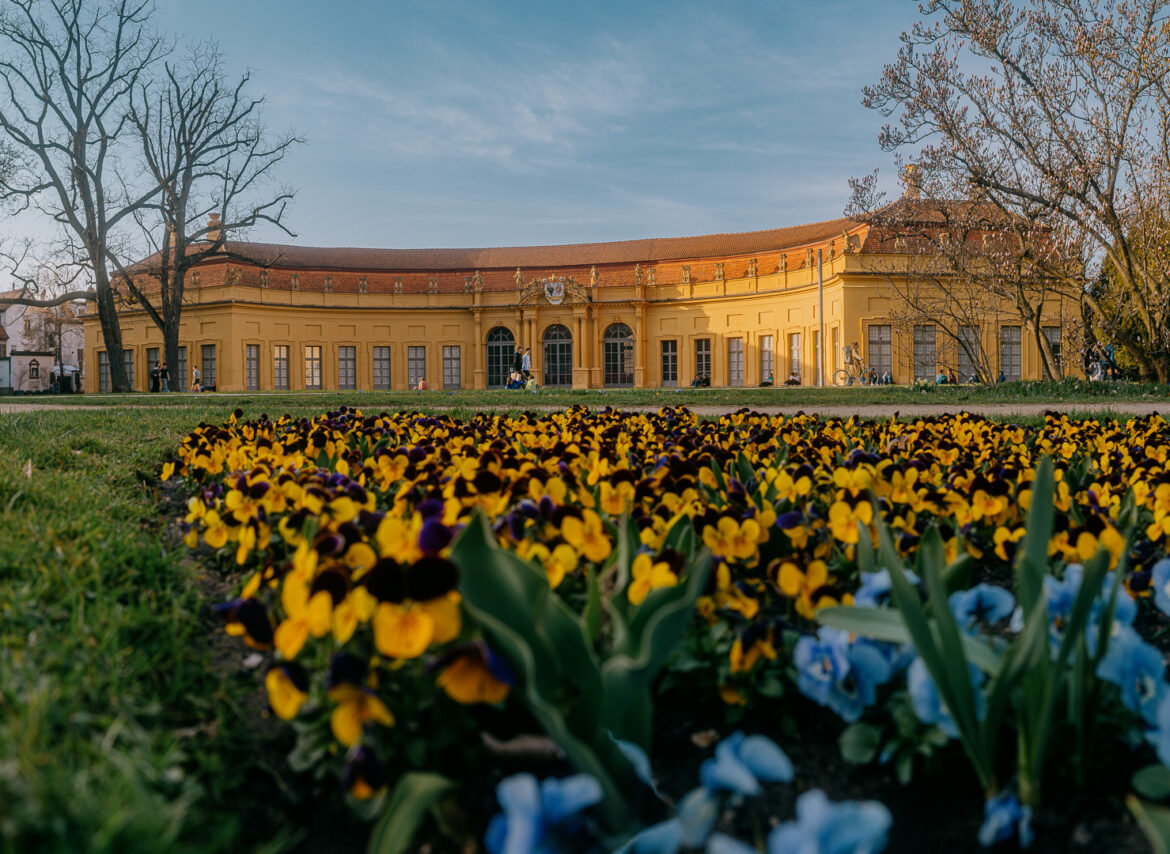 Schlosspark Erlangen Blumen