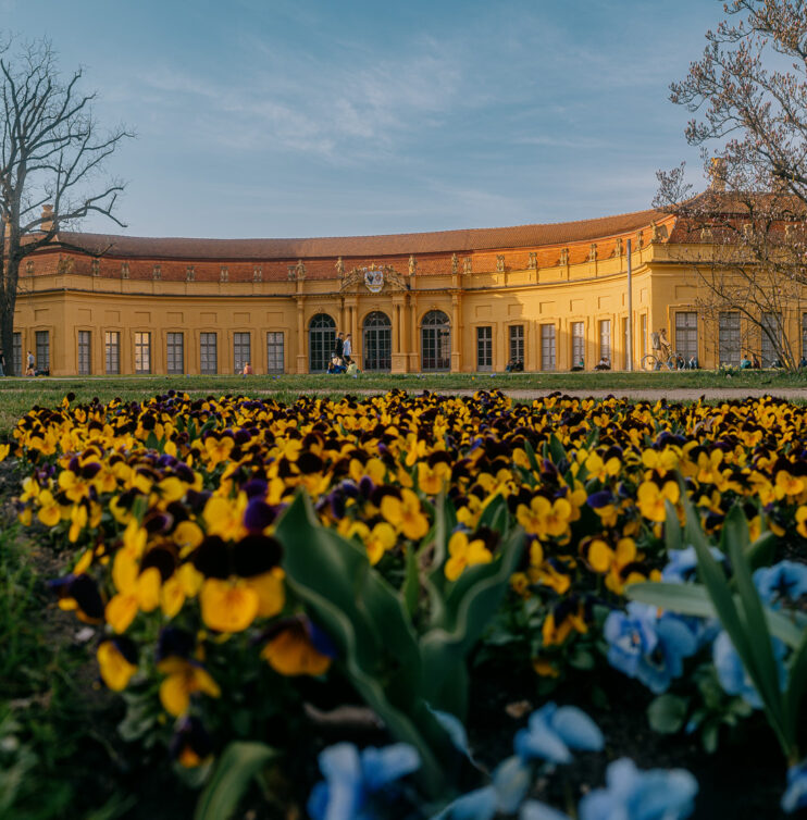 Schlosspark Erlangen Blumen