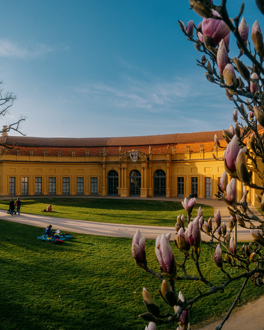 Schlosspark Erlangen Blumen Orangerie