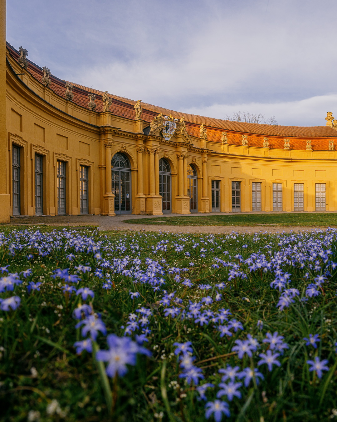 Schlosspark Erlangen Blumen Orangerie