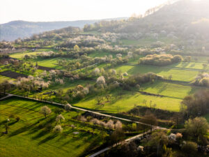 20250412-walberla-0513