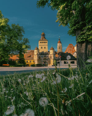20260510-weissenburg-franken-0316
