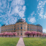 Residenz Würzburg Hofgarten Kirschblüte
