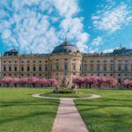 Residenz Würzburg Hofgarten Kirschblüte