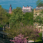 Marienberg und Residenz