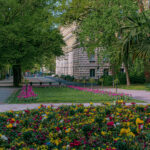 Würzburg Ringanlage Blumen