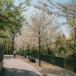 Herzogenaurach Frühling