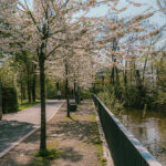 Herzogenaurach Natur