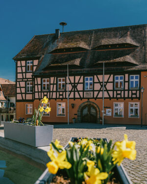Neuhof an der Zenn Rathaus Frühling
