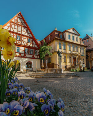 20260425-bad-windsheim-0224
